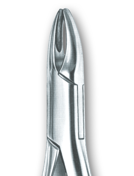 EXTRACTING FORCEPS AMERICAN PATTERN