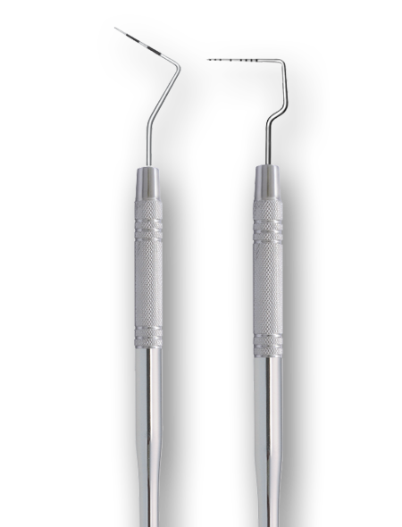 PROBES