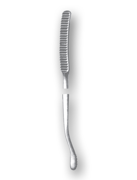 BONE FILE