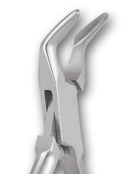 BONE ROUNGER 