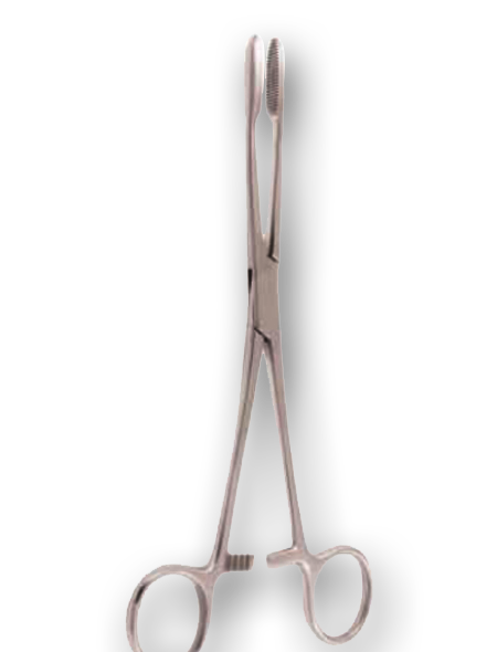 SPONGE HOLDING FORCEPS